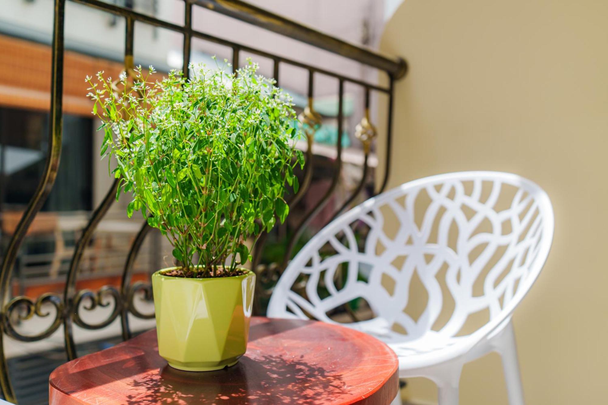 Co Chau Homestay โฮจิมินห์ซิตี้ ภายนอก รูปภาพ
